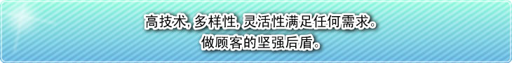 高技术,多样性,灵活性满足任何需求。做顾客的坚强后盾。